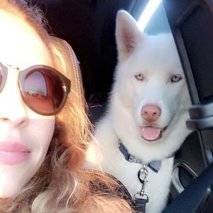 Meet your Posher, Maggie